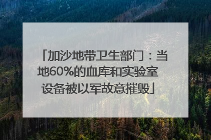 加沙地带卫生部门：当地60%的血库和实验室设备被以军故意摧毁